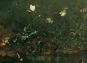 Grasstuk met Distel, Kikkers en Libelle