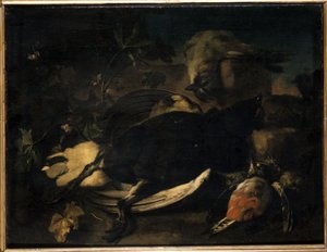 Dode vogels