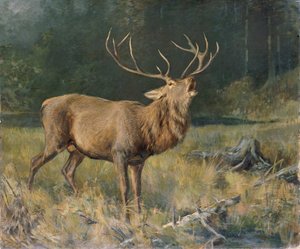 Bronst hert door Franz Xaver von Pausinger
