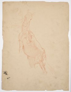Studies van een stijgend paard door Franz von Matsch