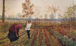 Het Violette Veld, 1867, ca. 1915