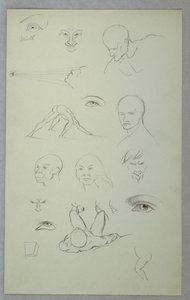Anatomische Studies door Frederic Edwin Church