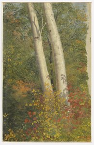 Berken in de herfst door Frederic Edwin Church