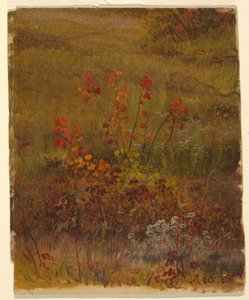 Botanische studies