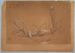 Tekening, Een gebroken dode boom, 1855-65 door Frederic Edwin Church