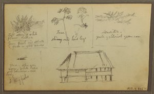 Tekening, Een fort; Verso: Botanische schetsen, Huis, 1857 door Frederic Edwin Church