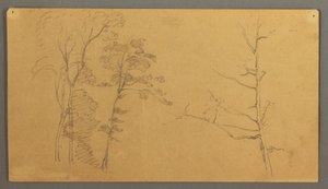 Tekening, Een groep bomen met het bovenste deel van een dode boom, 1866 door Frederic Edwin Church