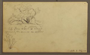 Tekening, Een hut op palen, Guayaquil, Ecuador, mei 1857 door Frederic Edwin Church