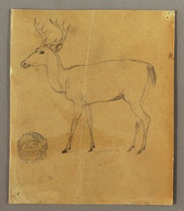 Tekening, Een staande hert, ca. 1850 door Frederic Edwin Church
