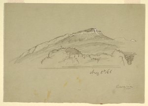 Tekening, Een boom, Beieren, 8 augustus 1868