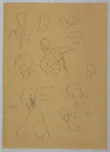 Tekening, Anatomische studies, 1865-70 door Frederic Edwin Church
