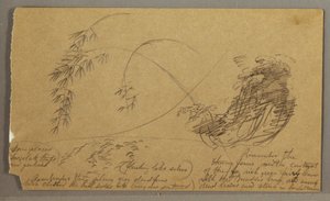 Tekening, Bamboe-achtige twijgen, mogelijk 1865-66 door Frederic Edwin Church