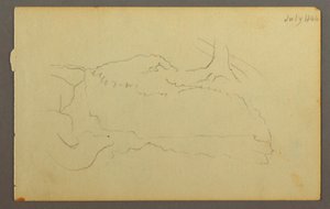 Tekening, Basis van een boom, keien, 1844 door Frederic Edwin Church