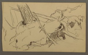 Tekening, Basis van boom, rotsblok, mogelijk 1877 door Frederic Edwin Church
