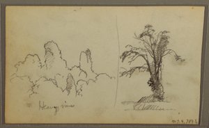 Tekening, Bireds, "Rots in Panama Bay"; Verso: "Zware wijnranken", 15 mei 1857 door Frederic Edwin Church