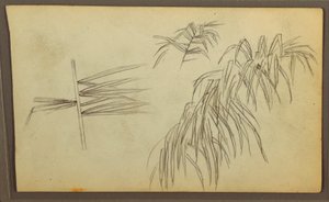 Tekening, Botanische schetsen, 1857 door Frederic Edwin Church