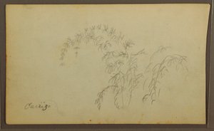 Tekening, Botanische Schetsen; Verso: Botanische Schetsen, 1857 door Frederic Edwin Church