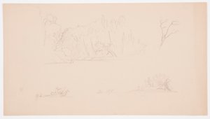 Tekening, Botanische schetsen: boom, bomen aan oever, september 1876 door Frederic Edwin Church
