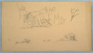 Tekening, Botanische schetsen: boom, bomen aan oever, september 1876 door Frederic Edwin Church