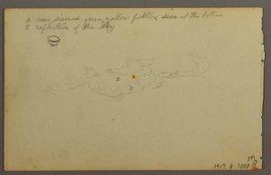 Tekening, Keien tussen bomen, 1844 door Frederic Edwin Church