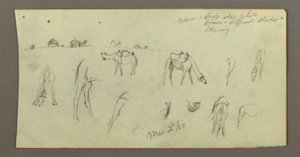 Tekening, Kamelenstudies, 2 maart 1868 door Frederic Edwin Church
