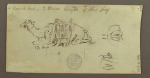 Tekening, Kamelenstudies, 2 maart 1868 door Frederic Edwin Church