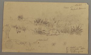 Tekening, Drinkende kamelen op een heuvel, 22 februari, mogelijk 1868 door Frederic Edwin Church
