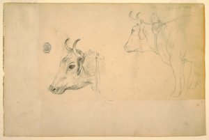 Tekening, Vee, september 1844 door Frederic Edwin Church