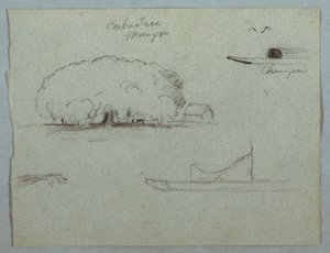Tekening, Ceiba boom bij Mompos, Champan kano, bomen en een gedeeltelijke boot, Rio Magdelena, Colombia, 1853, waarschijnlijk mei door Frederic Edwin Church