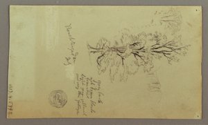 Tekening, Schoorstenen, Watervallen, Figuur, etc., juli mogelijk 1868 door Frederic Edwin Church