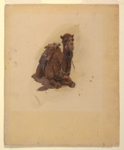 Tekening, hurkende dromedaris, 1868 door Frederic Edwin Church