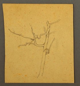 Tekening, Dode bomen, mogelijk juli 1866 door Frederic Edwin Church