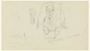 Tekening, Dromedaris; Oud huis op M, februari 1868 door Frederic Edwin Church