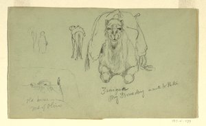 Tekening, Dromedaris; Oud huis op M, februari 1868 door Frederic Edwin Church
