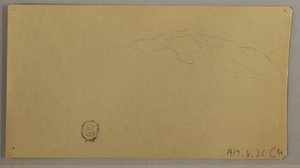 Tekening, Bloeiende planten, ca. 1856 door Frederic Edwin Church