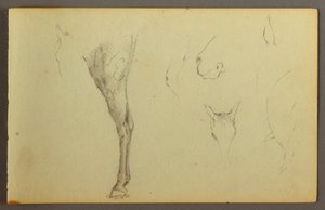 Tekening, Paardenstudies, mogelijk 1844 door Frederic Edwin Church