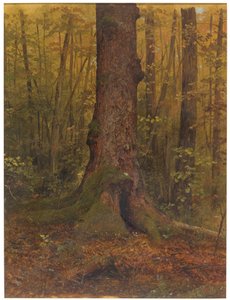 Tekening, In de bossen, waarschijnlijk Maine, 1850-60 door Frederic Edwin Church