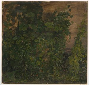 Tekening, Junglevegetatie, 1865