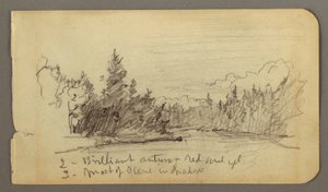 Tekening, Meer omringd door bomen, mogelijk 1878