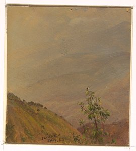 Tekening, Landschap, juli 1865 door Frederic Edwin Church