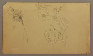 Tekening, Landschap; Verso: Botanische schetsen, 1865 door Frederic Edwin Church