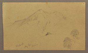 Tekening, Landschap, planten, Bloxburgh, augustus 1865 door Frederic Edwin Church