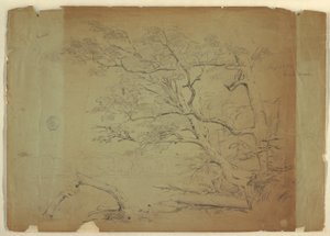 Tekening, Landschap met bomen en een stroom [], Grand Manan Island, Canada, september 1851