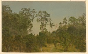 Tekening, Landschappen, juli 1865 door Frederic Edwin Church