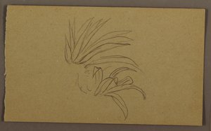 Tekening, Lelieplant, 1865 door Frederic Edwin Church