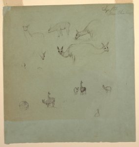 Tekening, Lama