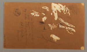 Tekening, onderste helft van boom, 9 juli 1868 door Frederic Edwin Church