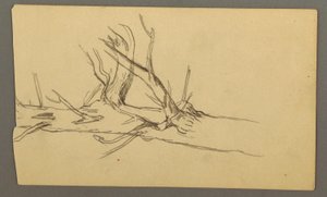 Tekening, Middendoorsnede van een dode boomstam, 1877 door Frederic Edwin Church