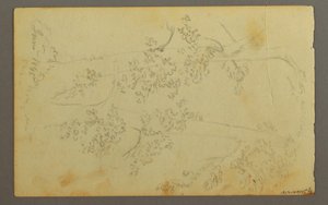 Tekening, Molen omringd door bomen, 1845 door Frederic Edwin Church