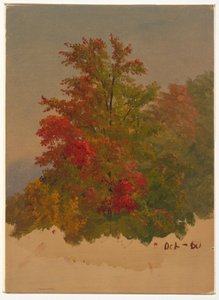 Tekening, Mt. Desert Island , Maine, oktober 1860 door Frederic Edwin Church